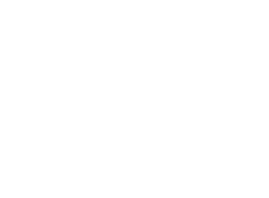 Association of Professional Accountants & Auditors